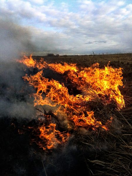 Файл:Огнеборец-стажёр poster.jpg